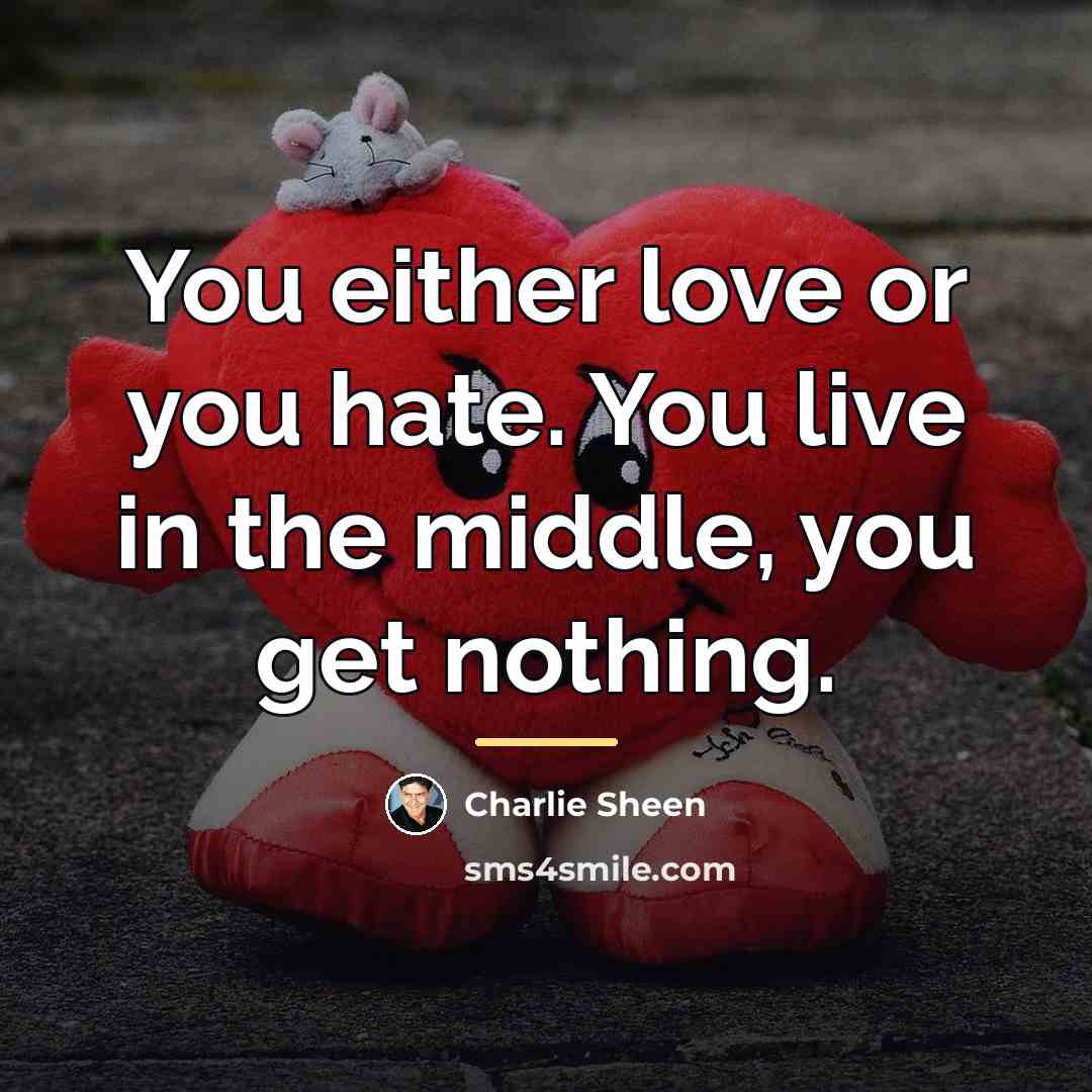 “You either love or you hate. You live in the…” quote by Charlie Sheen