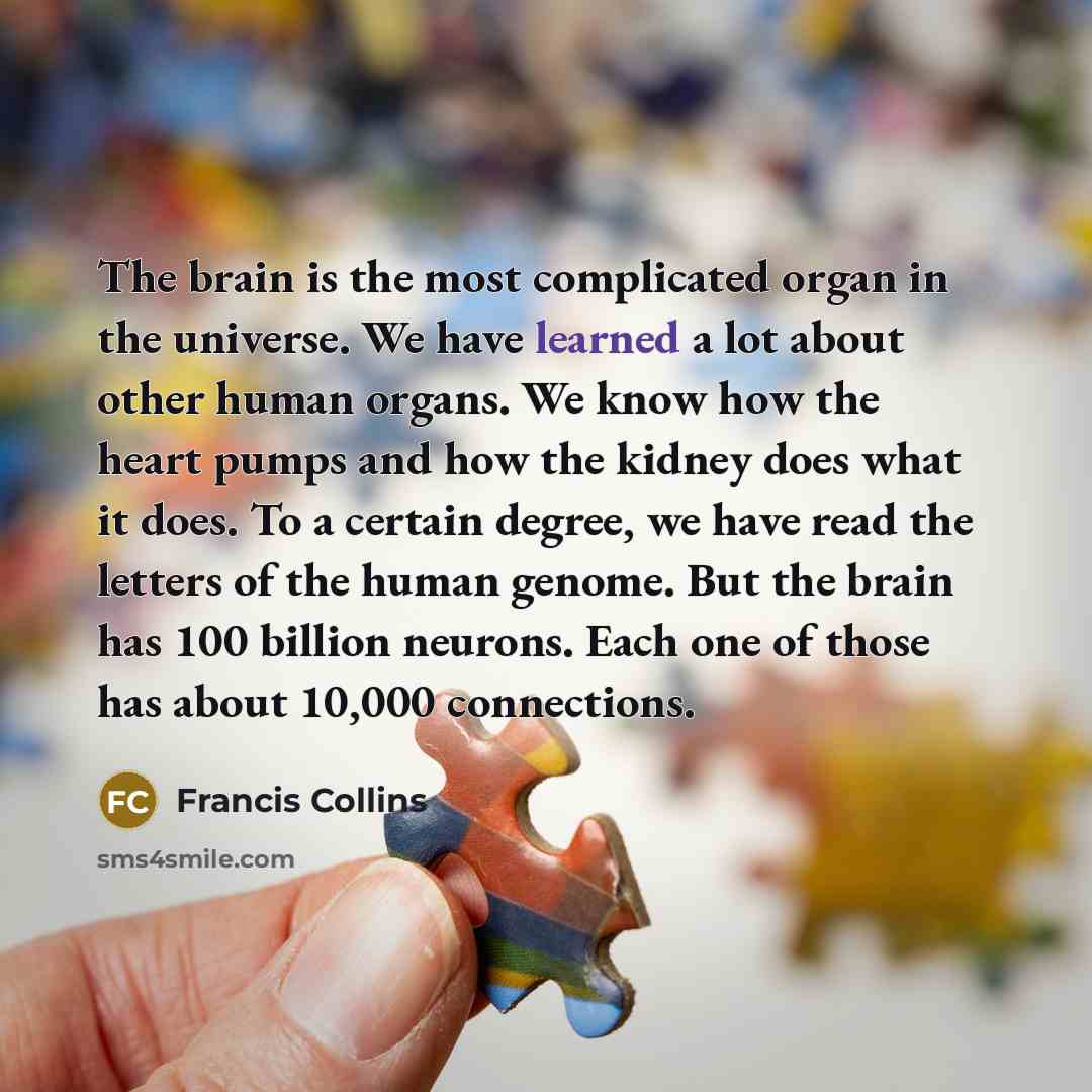 “The brain is the most complicated organ in the universe.…” quote by Francis Collins