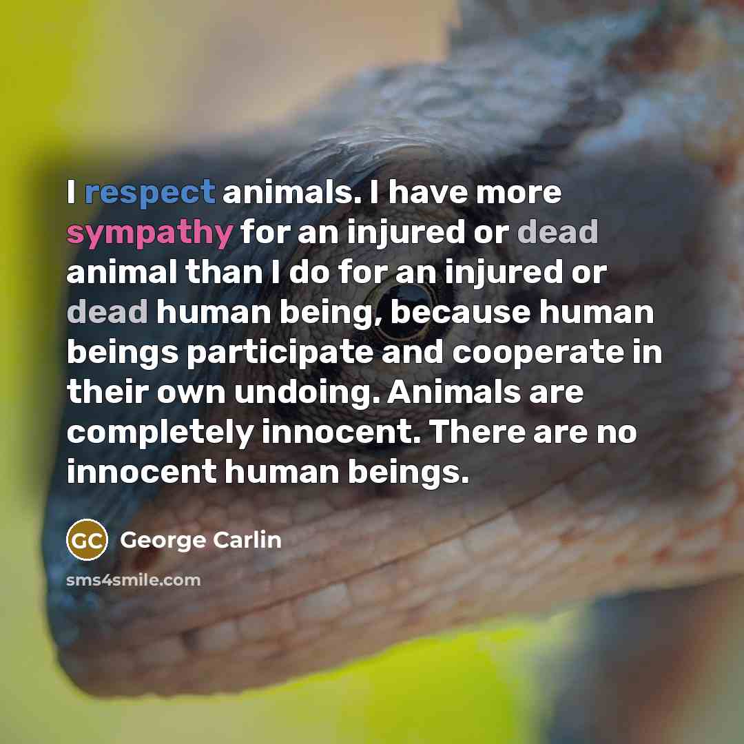 “I respect animals. I have more sympathy for an injured…” quote by George Carlin