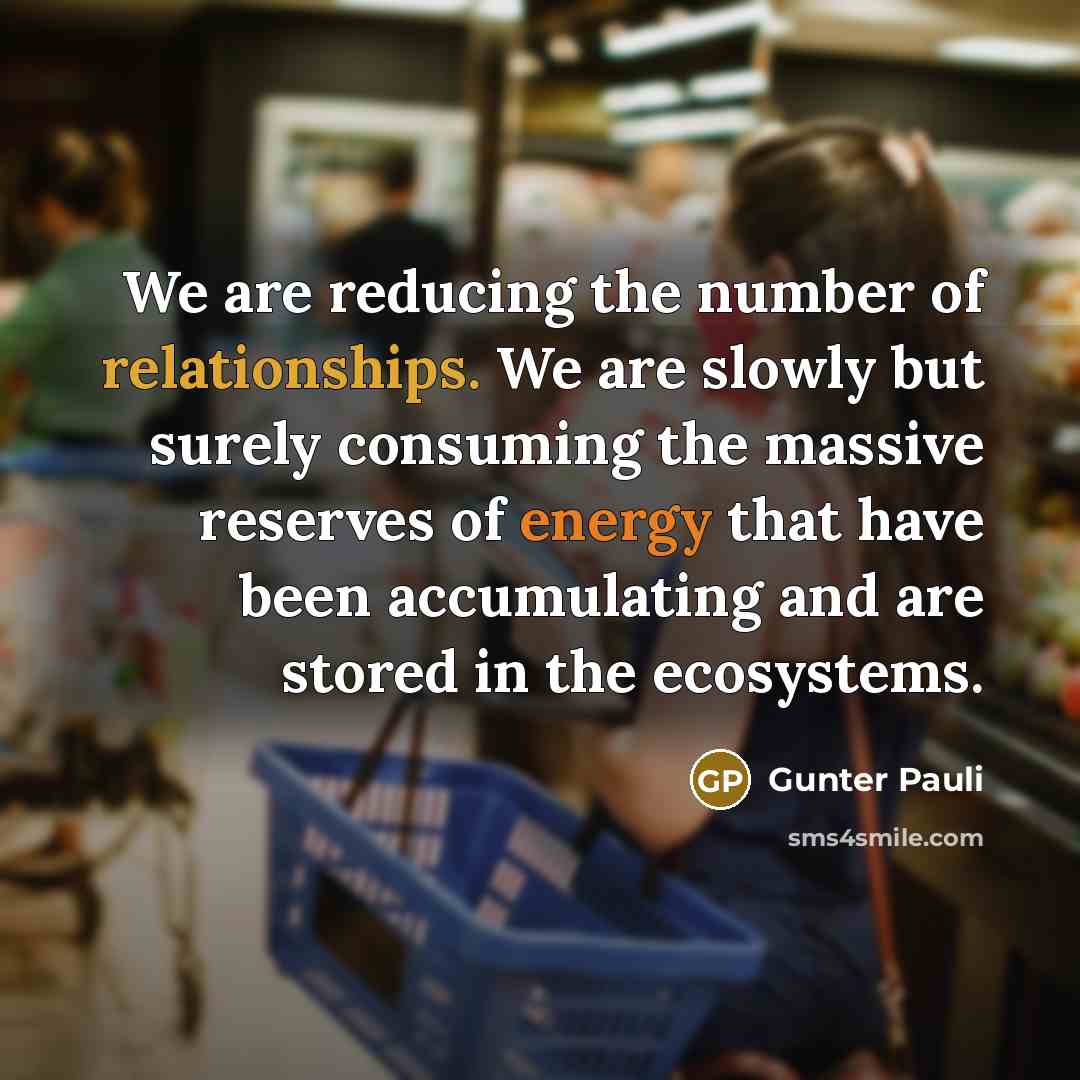 “We are reducing the number of relationships. We are slowly but surely consuming the massive reserves of energy that have been accumulating and are stored in the ecosystems.” quote by Gunter Pauli