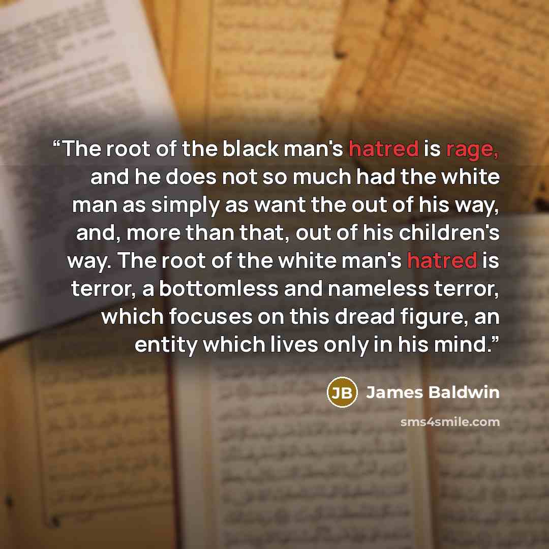 “The root of the black man's hatred is rage, and he does not so much had the white man as simply as want the out of his way, and, more than that, out of his children's way. The root of the white man's hatred is terror, a bottomless and nameless terror, which focuses on this dread figure, an entity…” quote by James Baldwin
