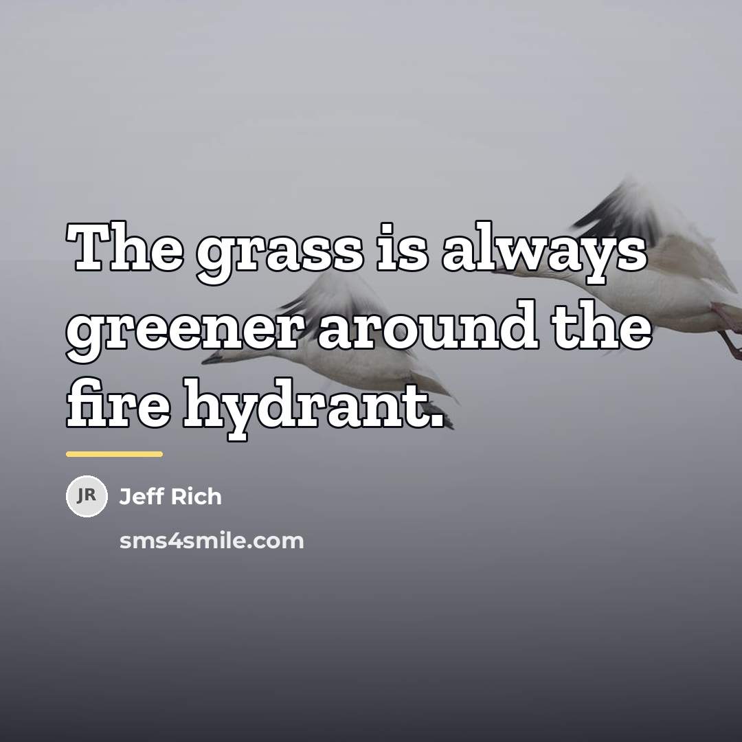 “The grass is always greener around the fire hydrant.…” quote by Jeff Rich