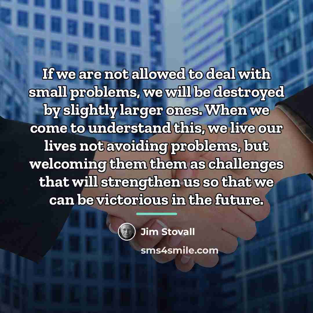 “If we are not allowed to deal with small problems,…” quote by Jim Stovall