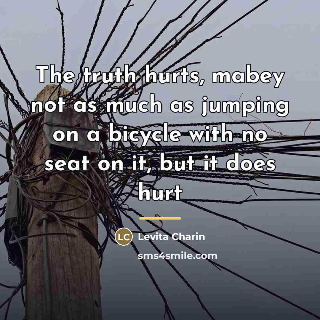 “The truth hurts, mabey not as much as jumping on…” quote by Levita Charin