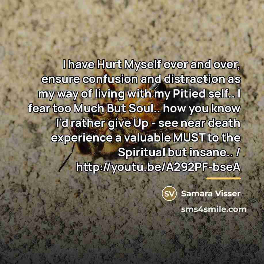 “I have Hurt Myself over and over, ensure confusion and…” quote by Samara Visser