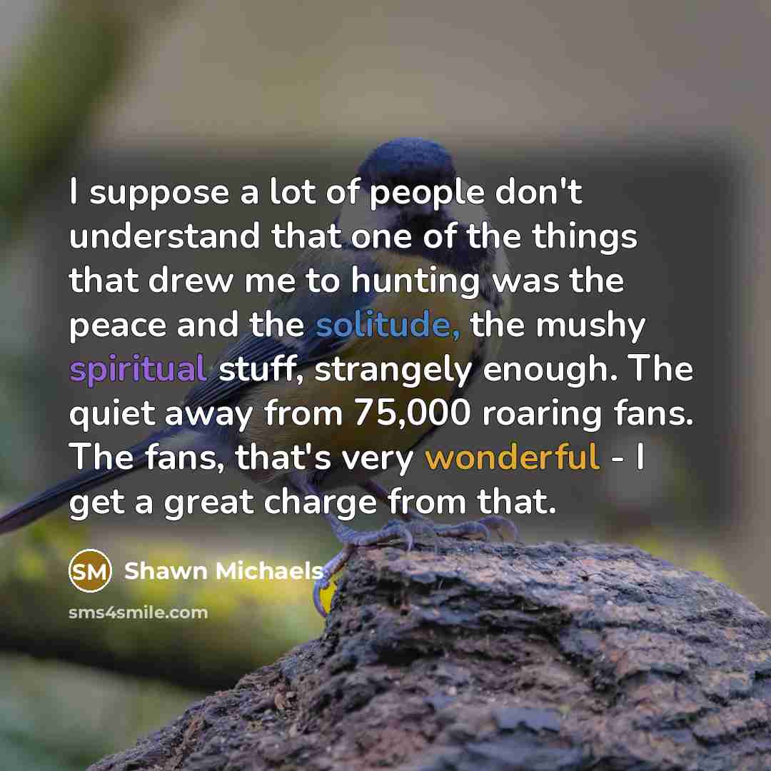 “I suppose a lot of people don't understand that one…” quote by Shawn Michaels