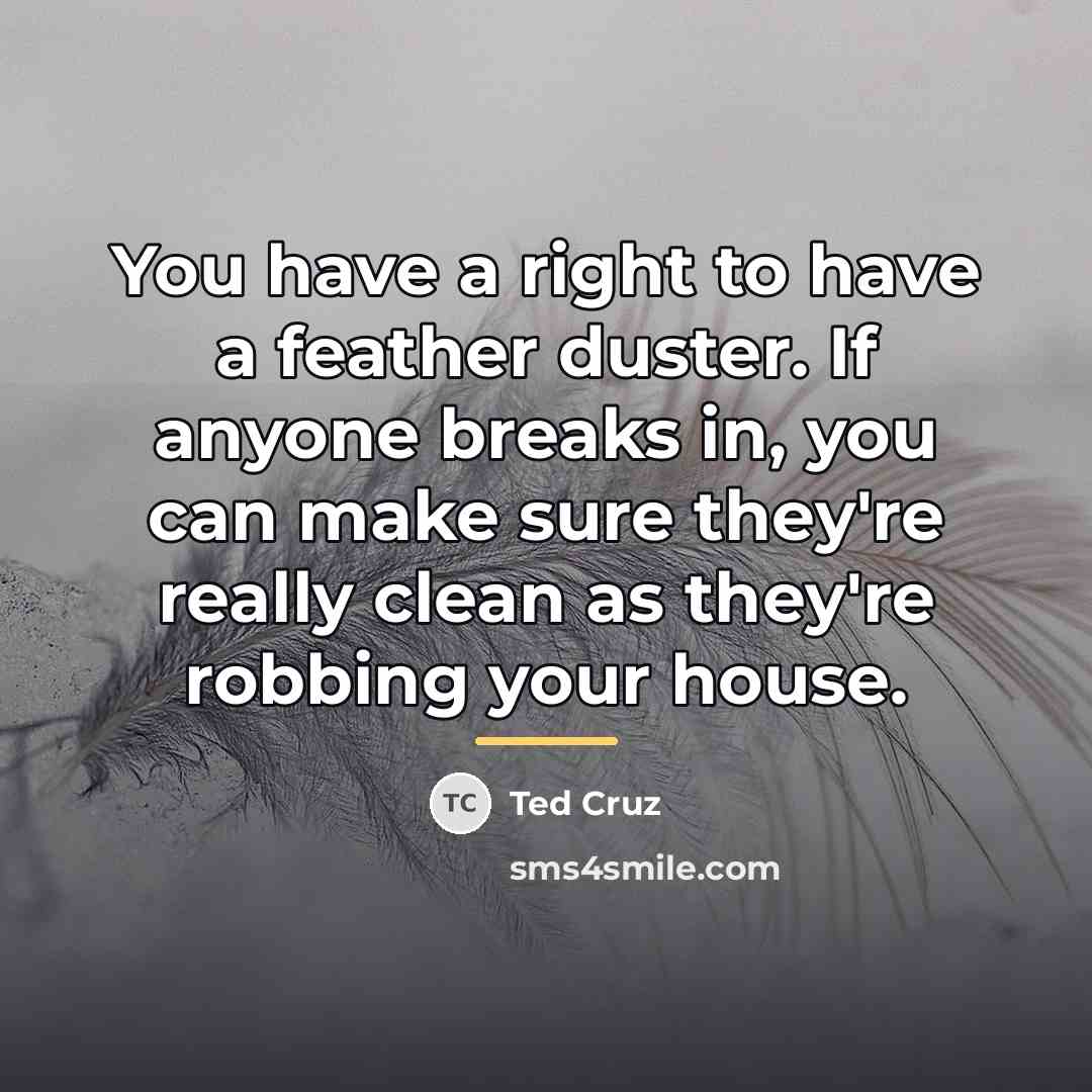 “You have a right to have a feather duster. If…” quote by Ted Cruz