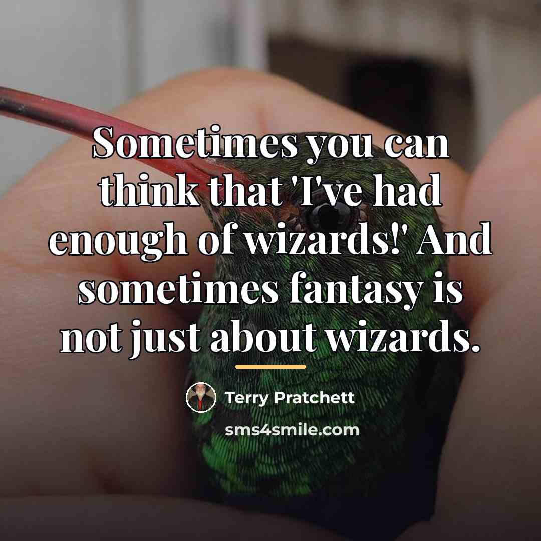 “Sometimes you can think that 'I've had enough of wizards!'…” quote by Terry Pratchett