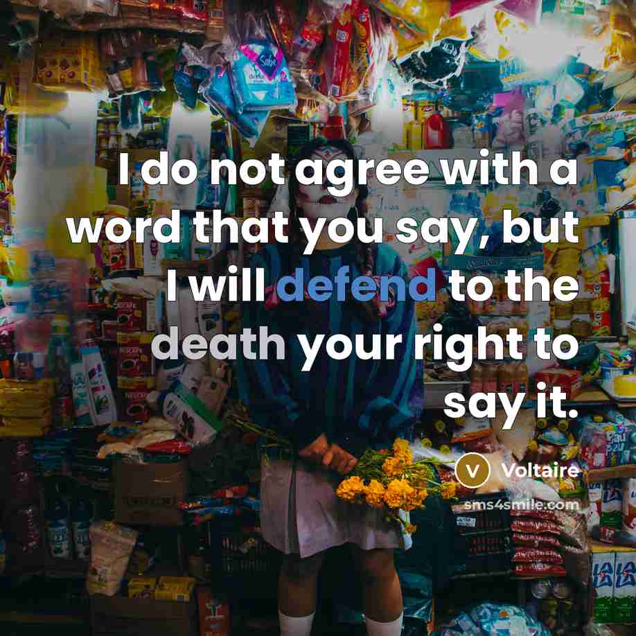 “I do not agree with a word that you say,…” quote by Voltaire