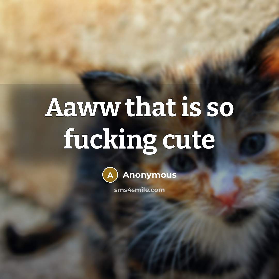 “Aaww that is so fucking cute…” quote by Anonymous