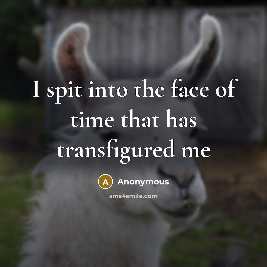 “I spit into the face of time that has transfigured…” quote by Anonymous