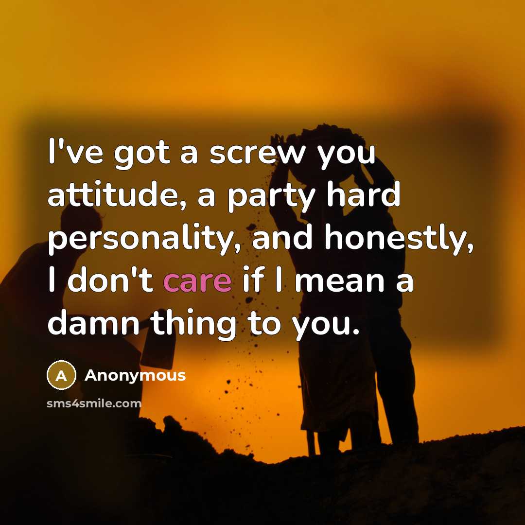 “I've got a screw you attitude, a party hard personality,…” quote by Anonymous