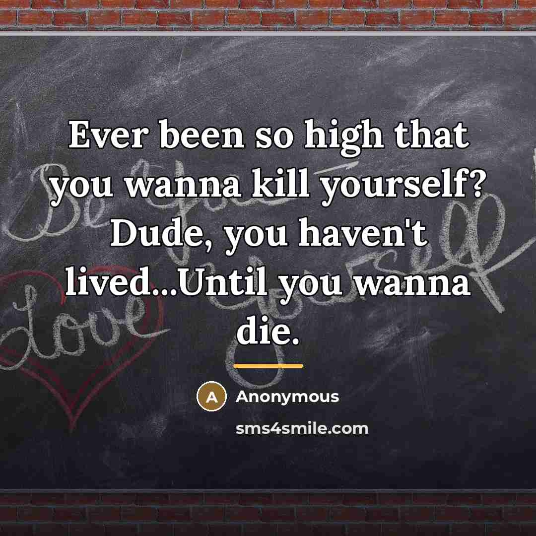 “Ever been so high that you wanna kill yourself? Dude,…” quote by Anonymous