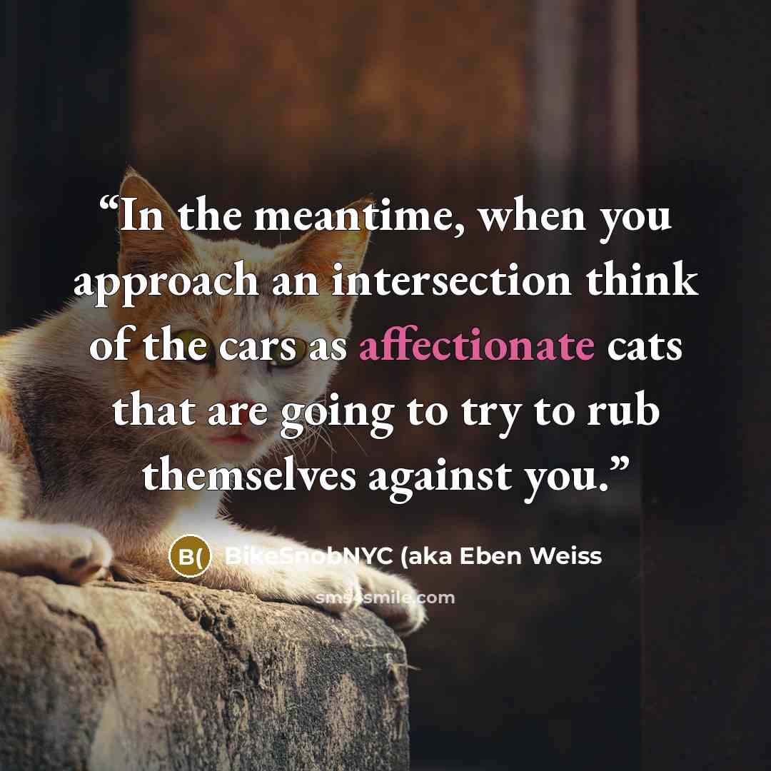 “In the meantime, when you approach an intersection think of the cars as affectionate cats that are going to try to rub themselves against you.” quote by BikeSnobNYC (aka Eben Weiss