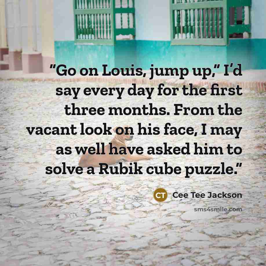 “Go on Louis, jump up,” I’d say every day for the first three months. From the vacant look on his face, I may as well have asked him to solve a Rubik cube puzzle.” quote by Cee Tee Jackson
