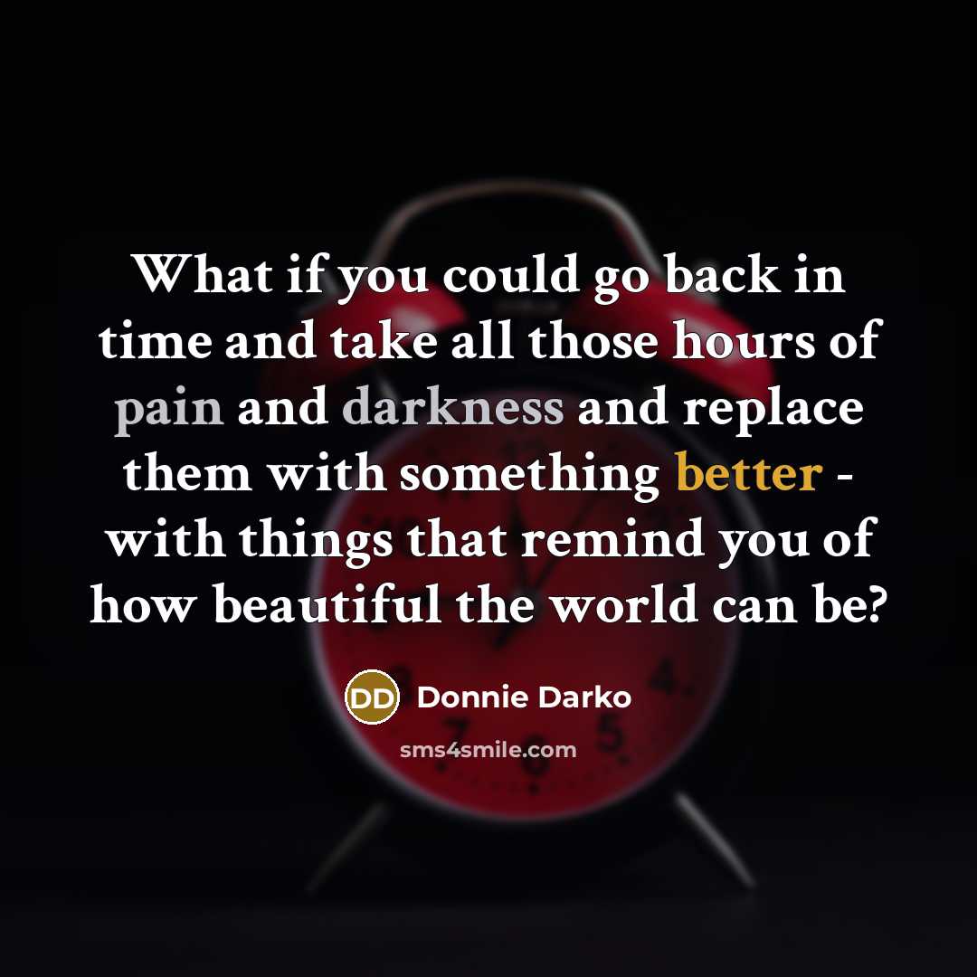 “What if you could go back in time and take all those hours of pain and darkness and replace them with something better - with things that remind you of how beautiful the world can be?” quote by Donnie Darko