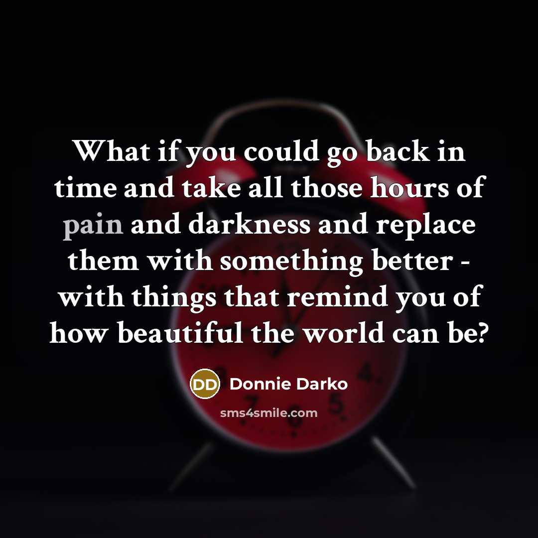 “What if you could go back in time and take…” quote by Donnie Darko