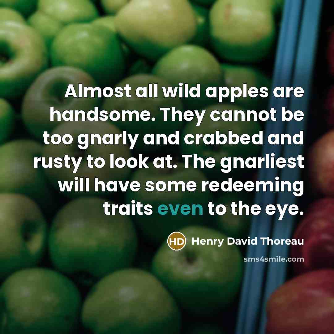 “Almost all wild apples are handsome. They cannot be too…” quote by Henry David Thoreau