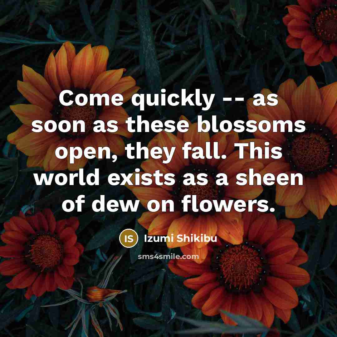 “Come quickly -- as soon as these blossoms open, they…” quote by Izumi Shikibu