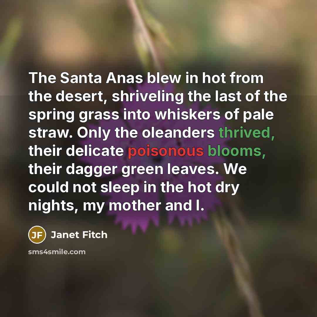 “The Santa Anas blew in hot from the desert, shriveling…” quote by Janet Fitch