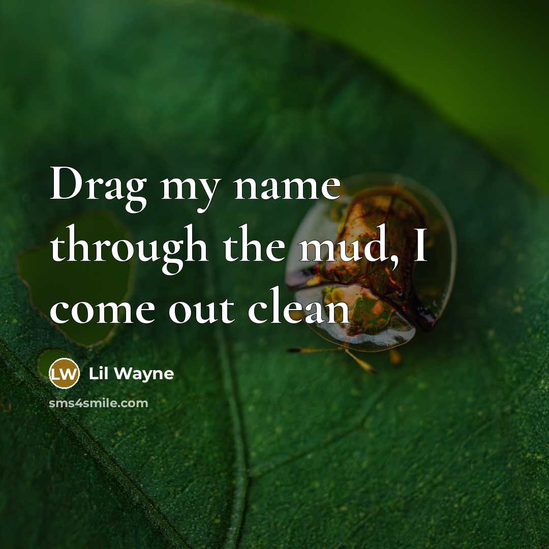 “Drag my name through the mud, I come out clean…” quote by Lil Wayne