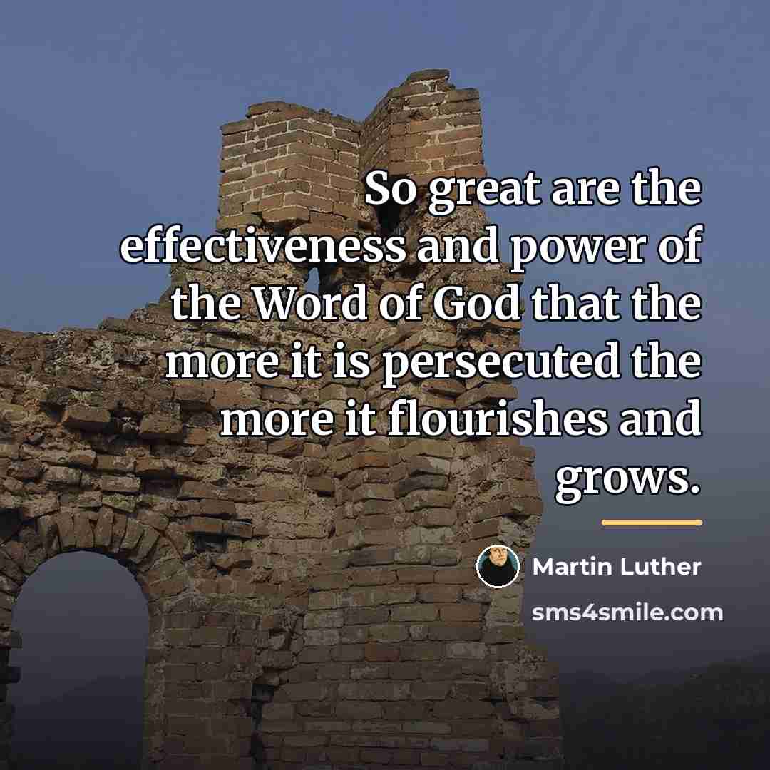 “So great are the effectiveness and power of the Word…” quote by Martin Luther