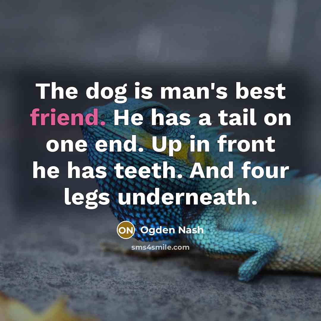 “The dog is man's best friend. He has a tail on one end. Up in front he has teeth. And four legs underneath.” quote by Ogden Nash