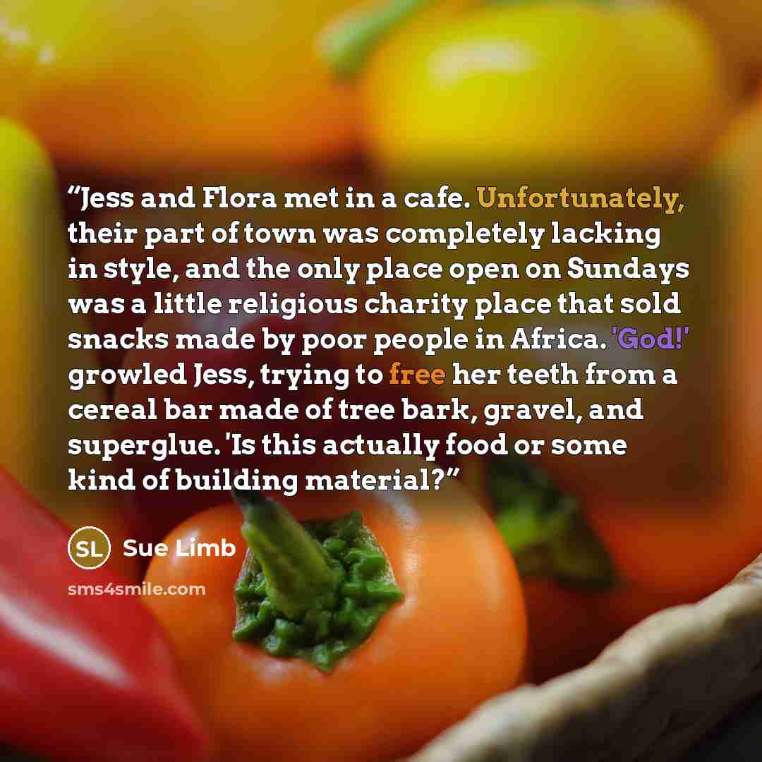 “Jess and Flora met in a cafe. Unfortunately, their part of town was completely lacking in style, and the only place open on Sundays was a little religious charity place that sold snacks made by poor people in Africa. 'God!' growled Jess, trying to free her teeth from a cereal bar made of tree…” quote by Sue Limb
