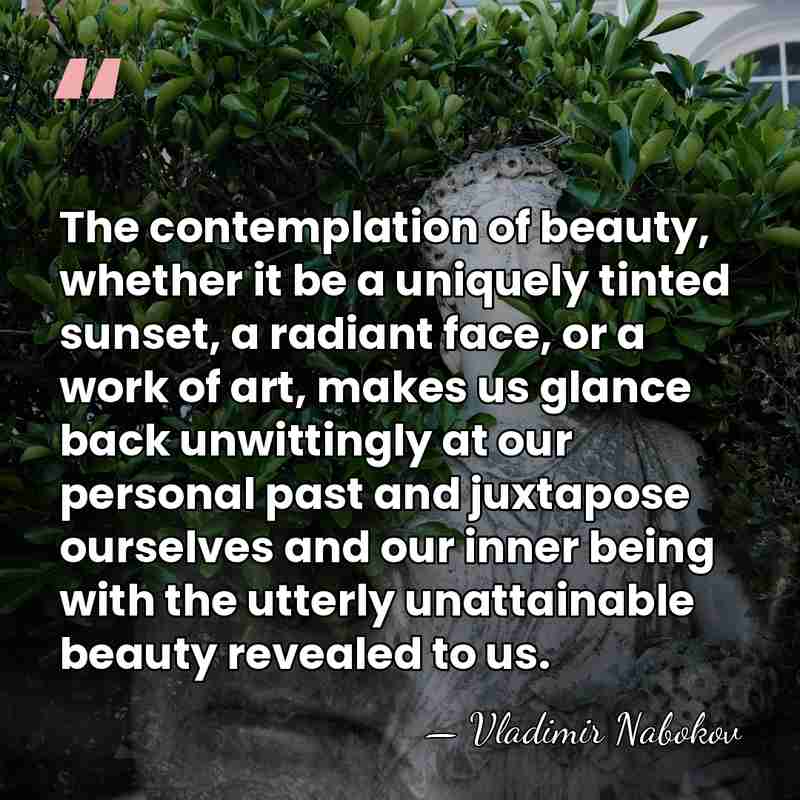 The contemplation of beauty, whether it be a uniquely tinted sunset, a&hellip; - Vladimir Nabokov