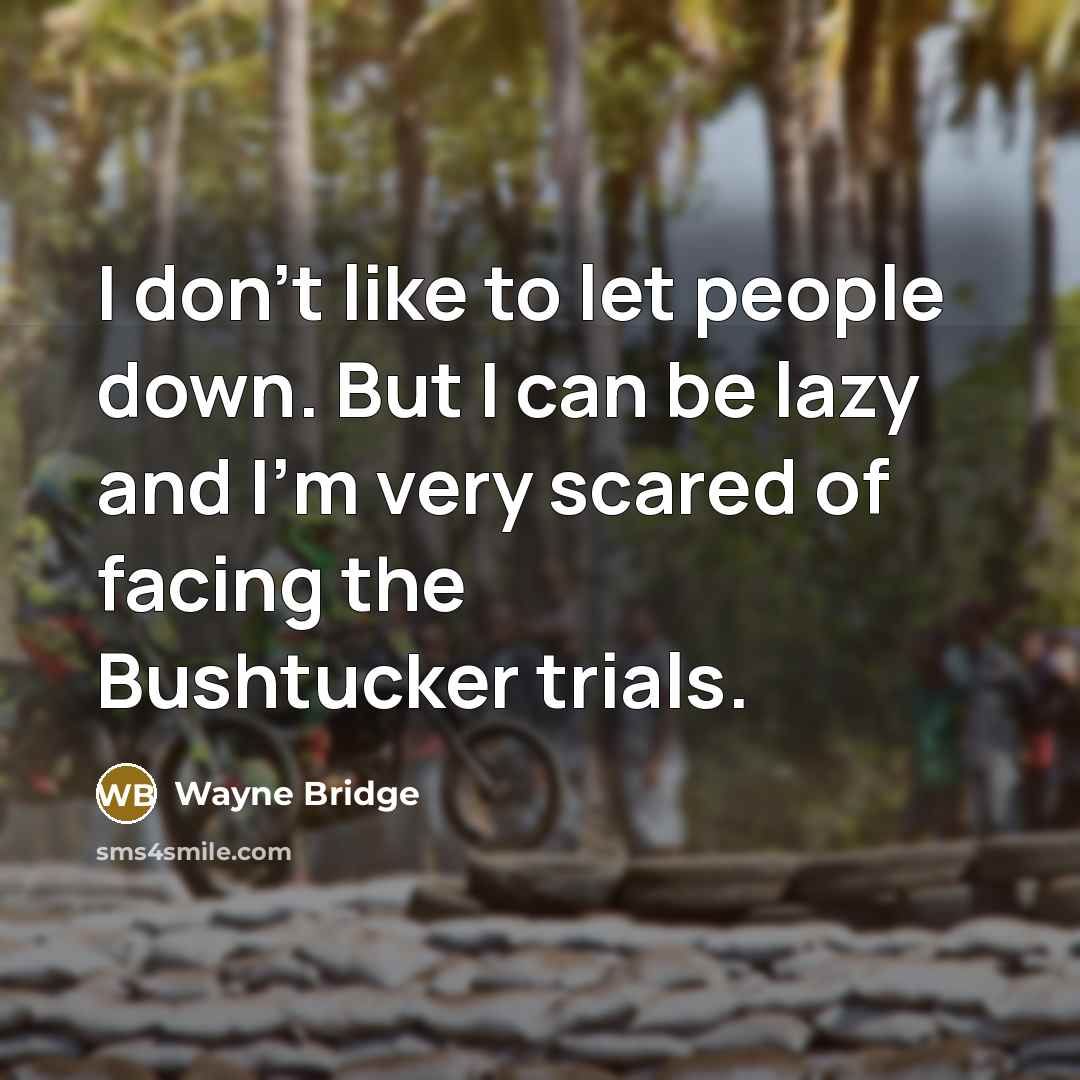 “I don't like to let people down. But I can…” quote by Wayne Bridge
