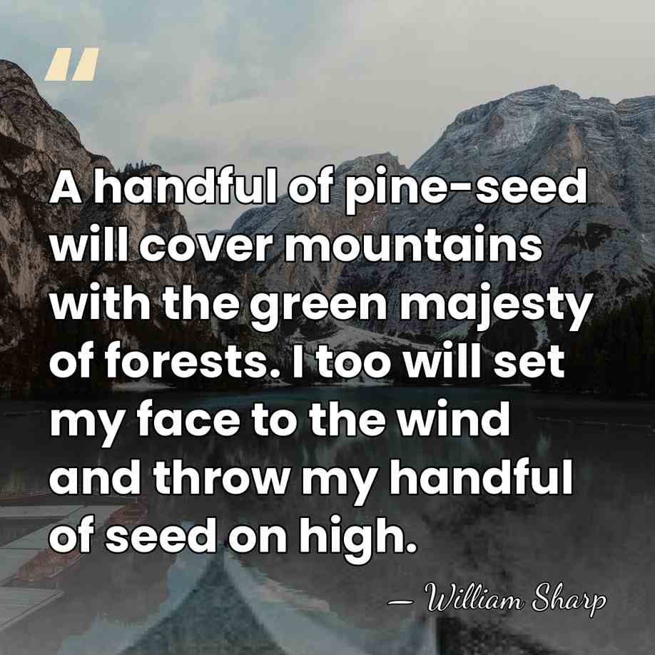 A handful of pine-seed will cover mountains with the green majesty of&hellip; - William Sharp