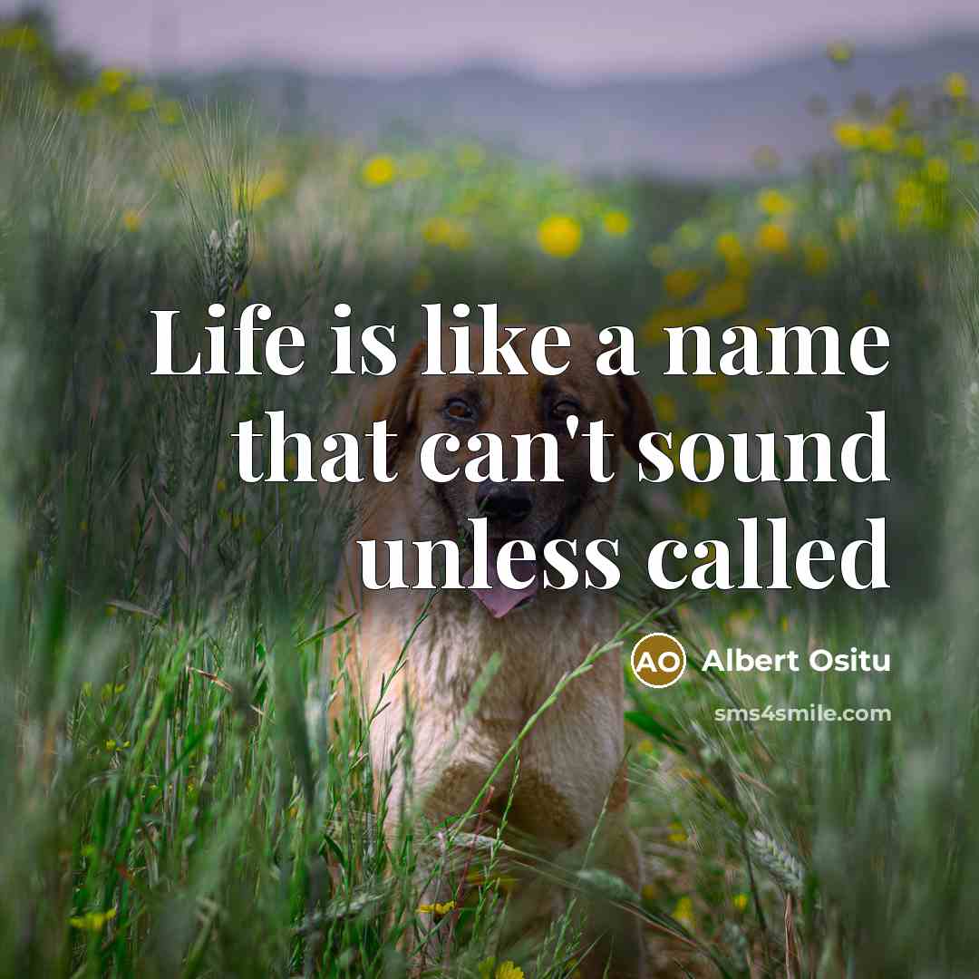 “Life is like a name that can't sound unless called” quote by Albert Ositu