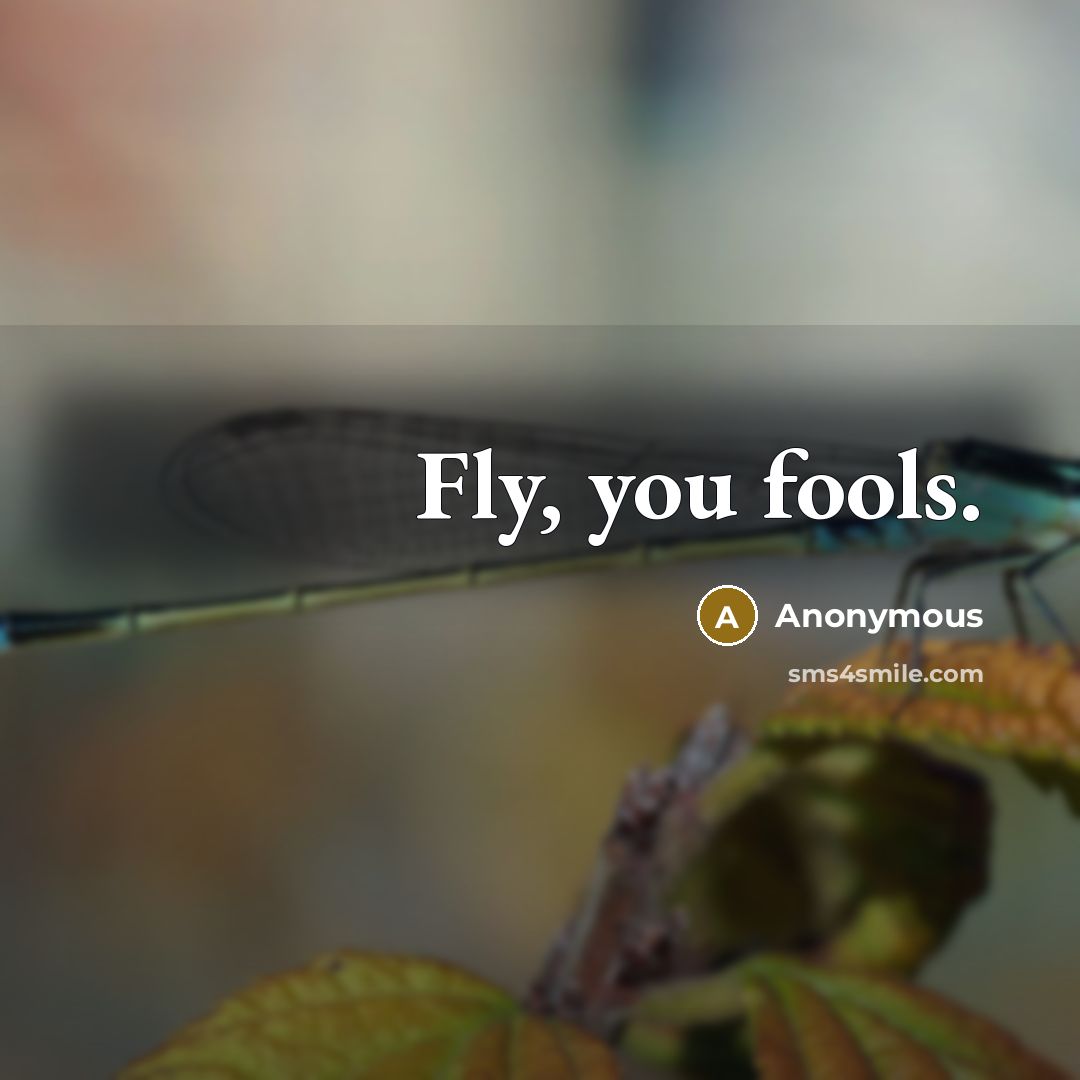 “Fly, you fools.” quote by Anonymous