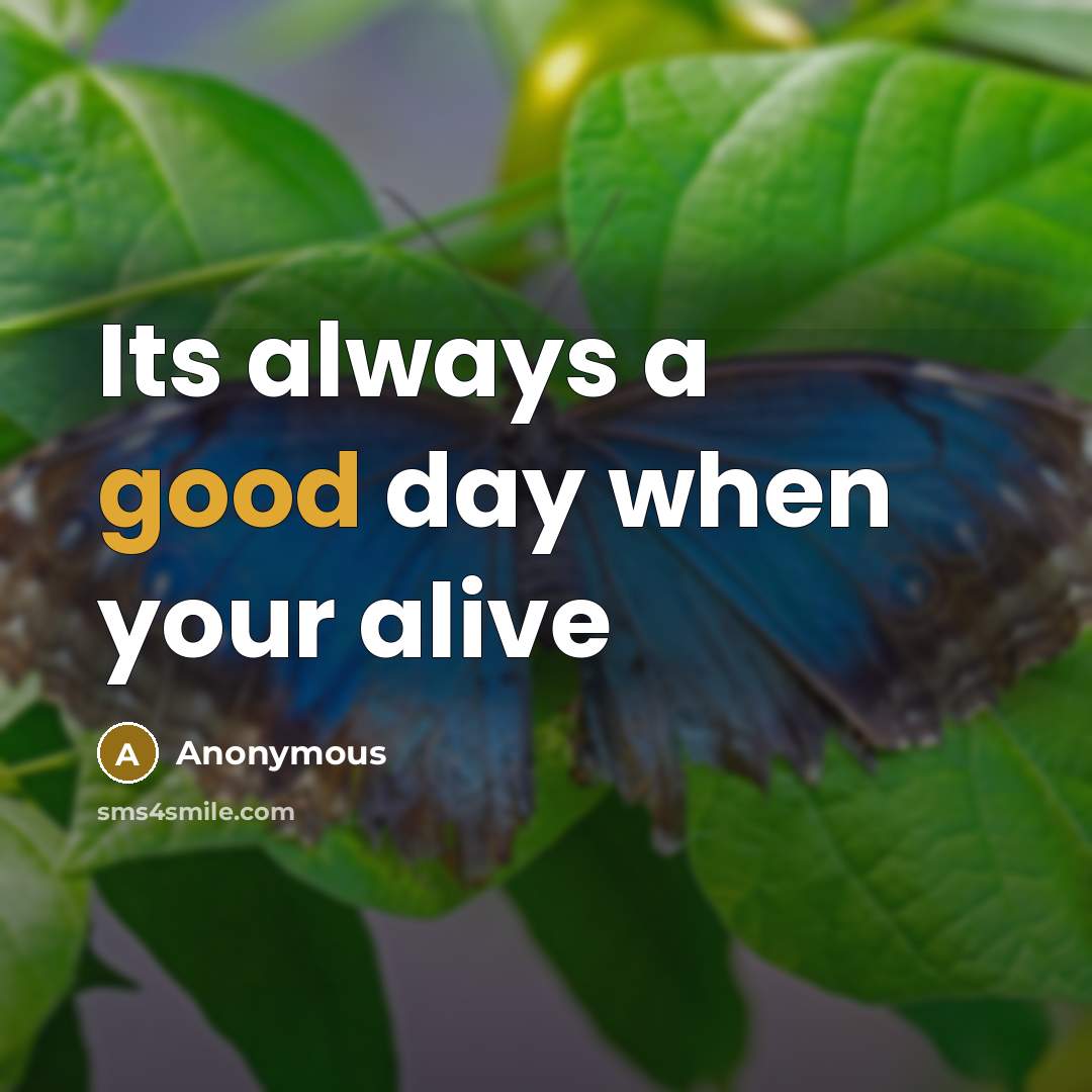 “Its always a good day when your alive” quote by Anonymous