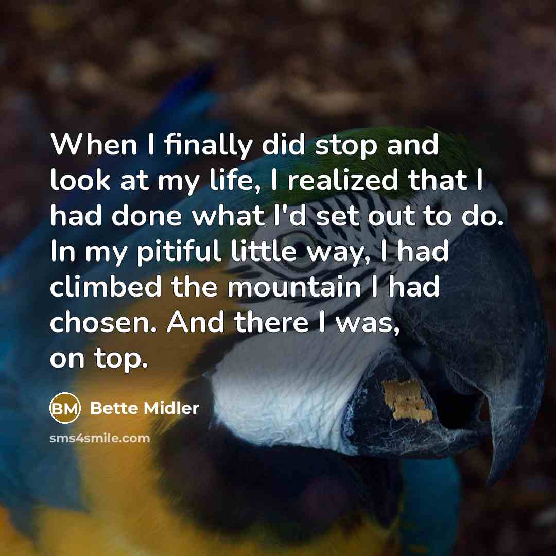 “When I finally did stop and look at my life,…” quote by Bette Midler