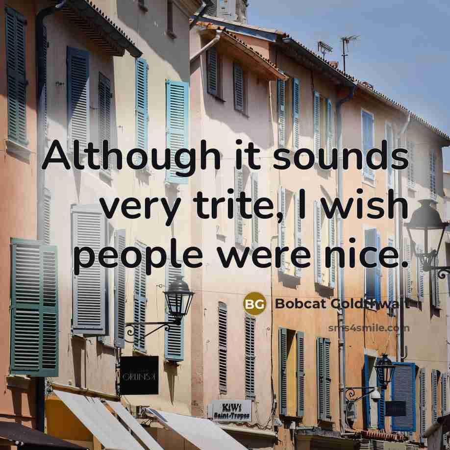 “Although it sounds very trite, I wish people were nice.…” quote by Bobcat Goldthwait