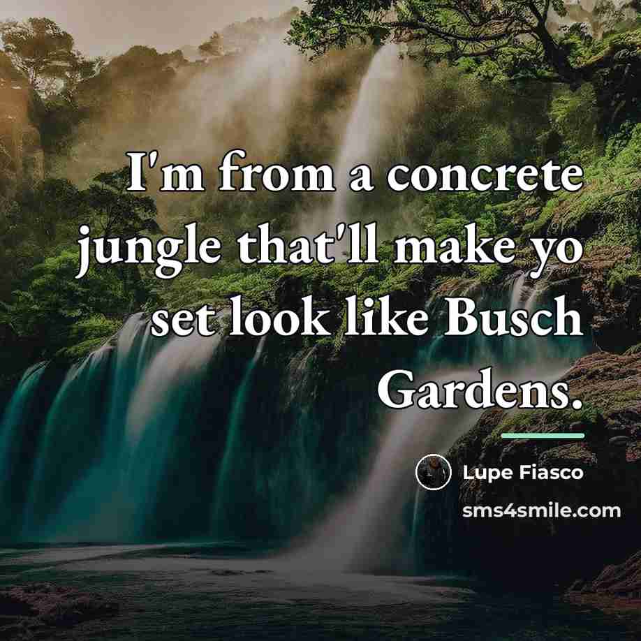 “I'm from a concrete jungle that'll make yo set look…” quote by Lupe Fiasco