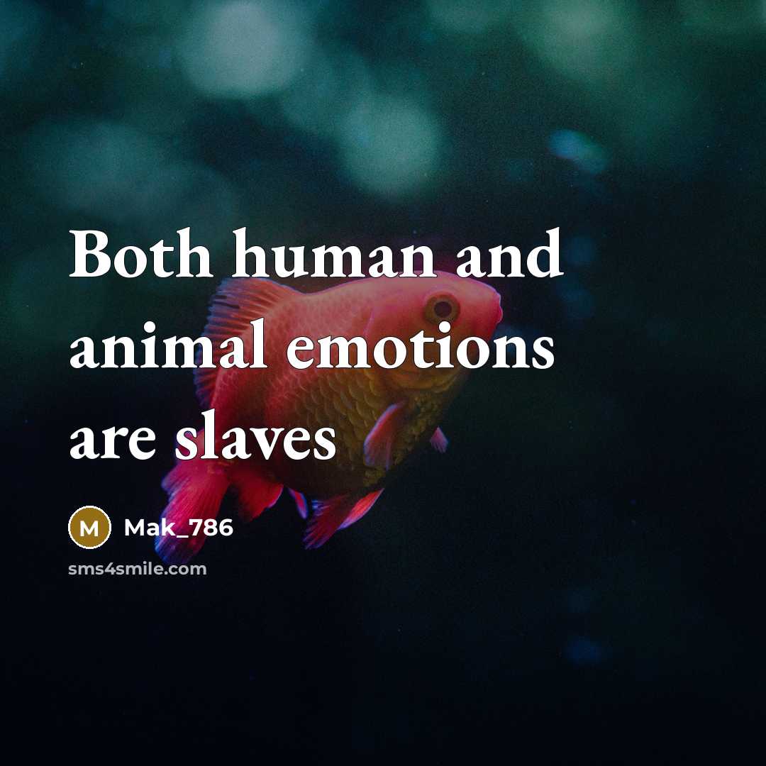 “Both human and animal emotions are slaves…” quote by Mak_786