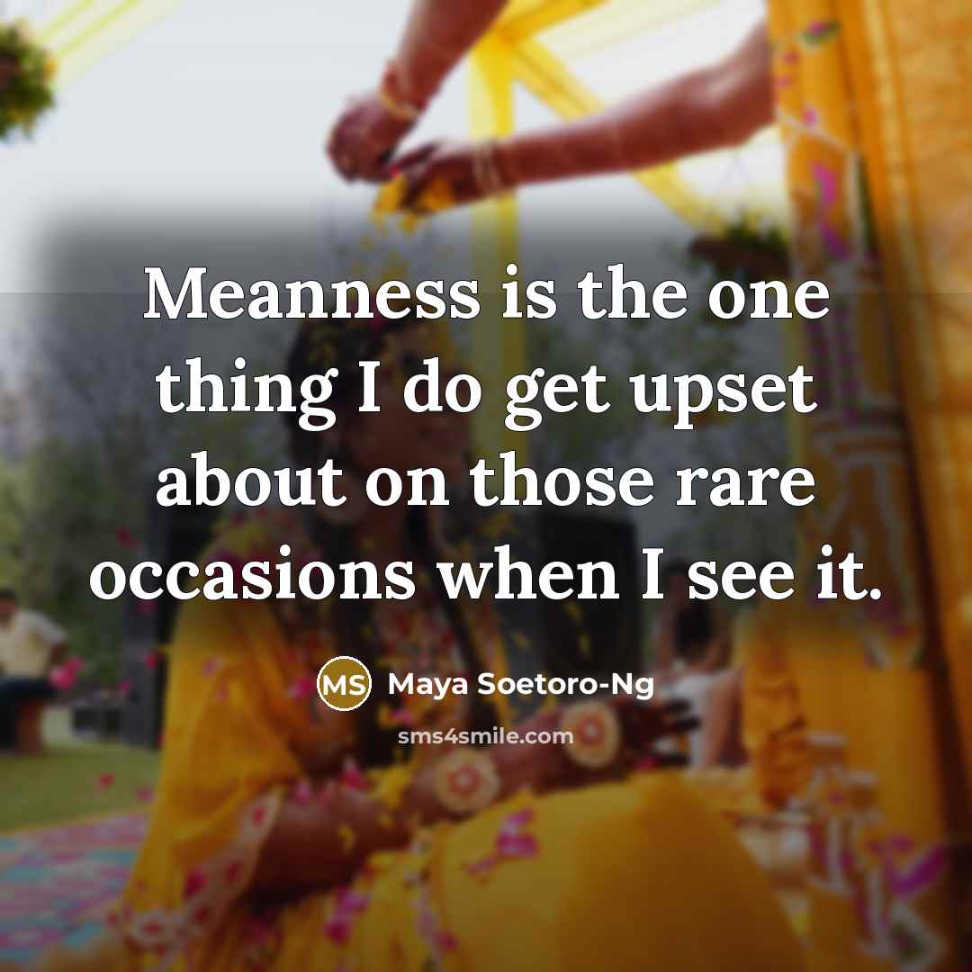 “Meanness is the one thing I do get upset about…” quote by Maya Soetoro-Ng