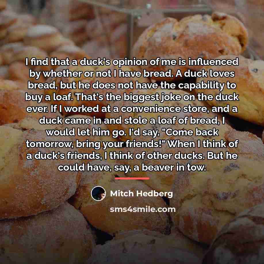 “I find that a duck's opinion of me is influenced…” quote by Mitch Hedberg