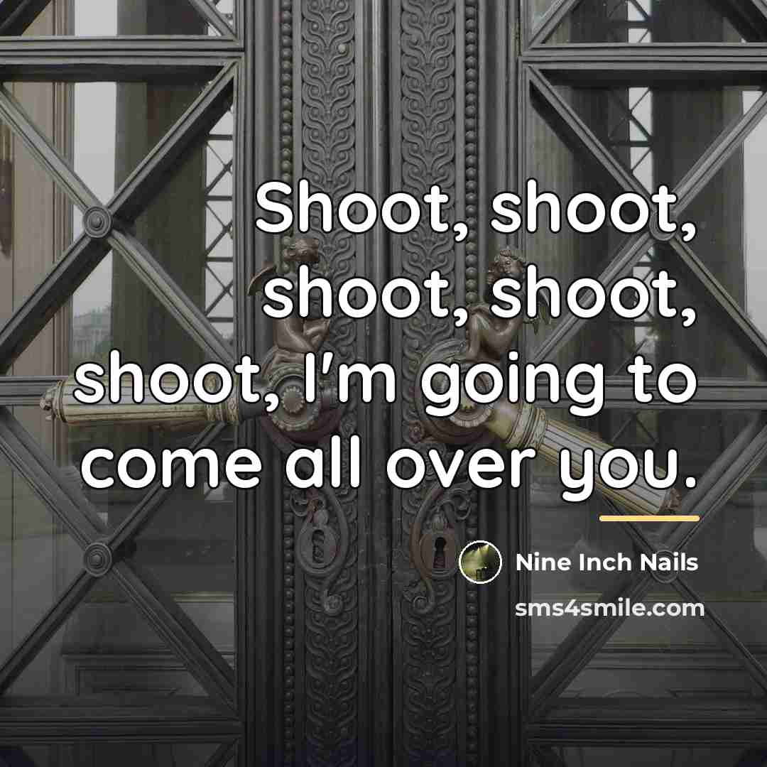 “Shoot, shoot, shoot, shoot, shoot, I'm going to come all…” quote by Nine Inch Nails
