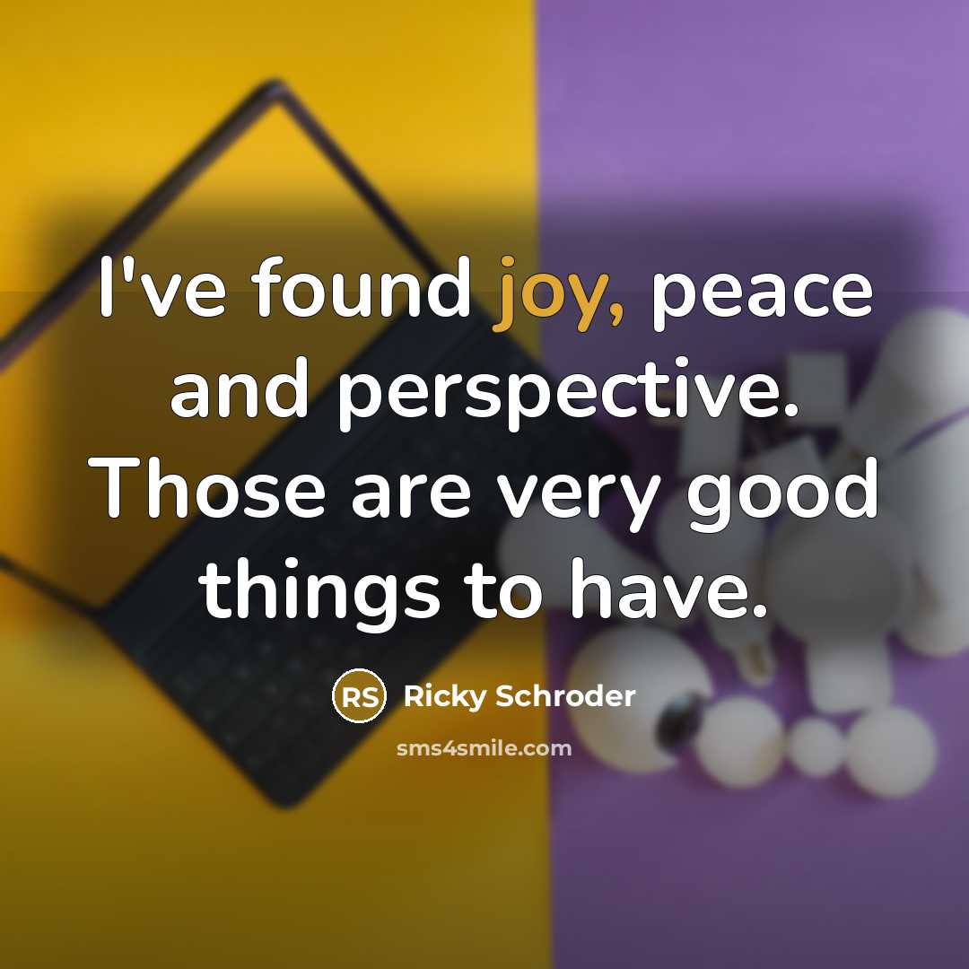“I've found joy, peace and perspective. Those are very good…” quote by Ricky Schroder