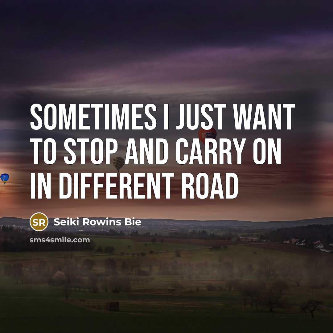 “Sometimes I just want to stop and carry on in…” quote by Seiki Rowins Bie
