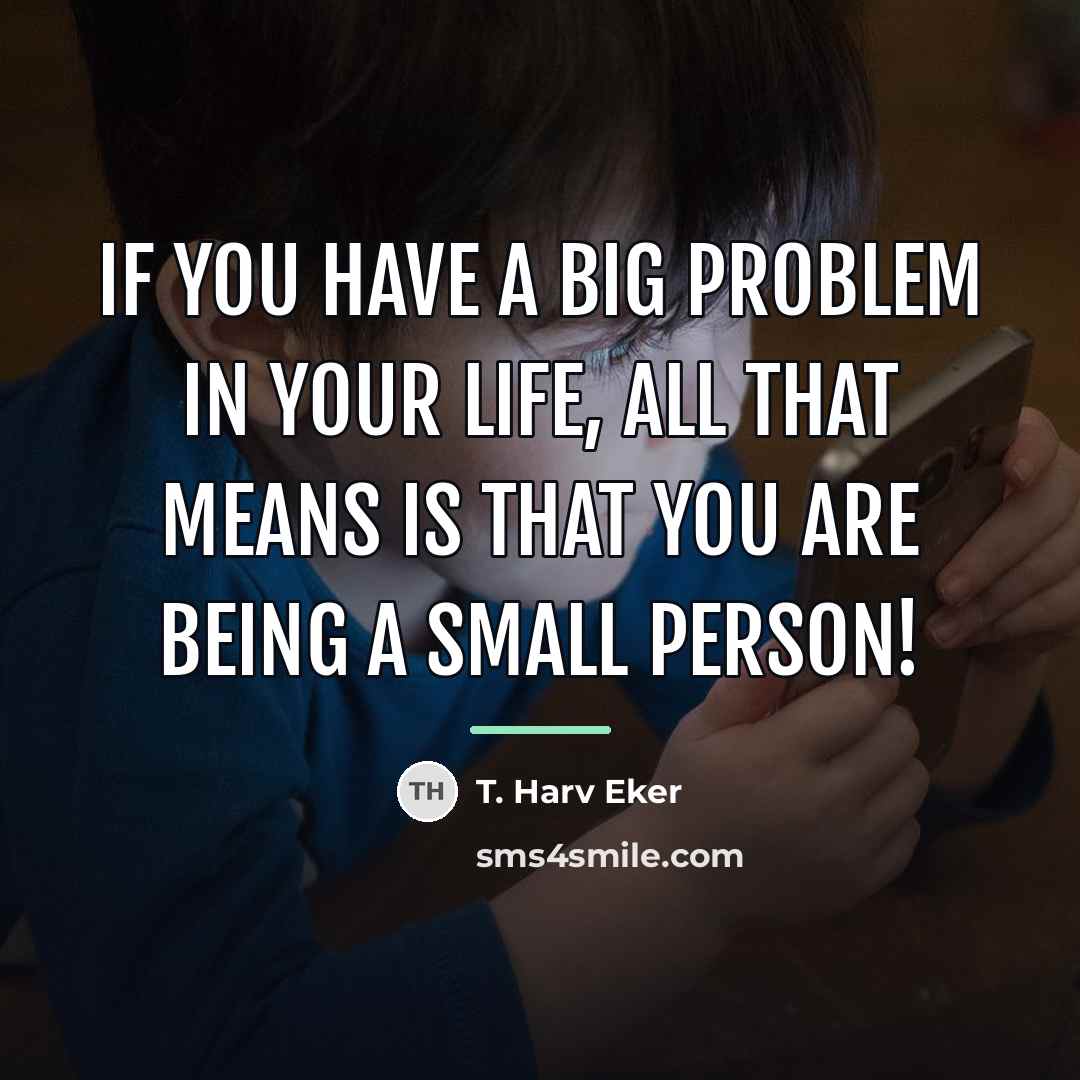 “If you have a big problem in your life, all…” quote by T. Harv Eker