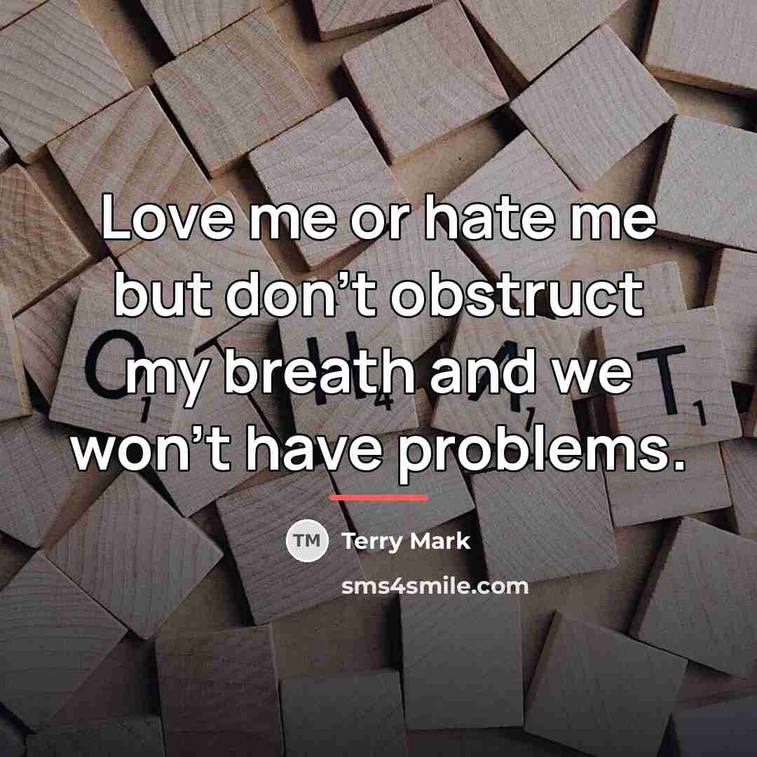 “Love me or hate me but don't obstruct my breath…” quote by Terry Mark