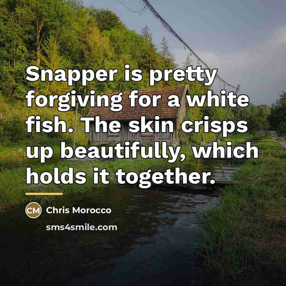 “Snapper is pretty forgiving for a white fish. The skin…” quote by Chris Morocco