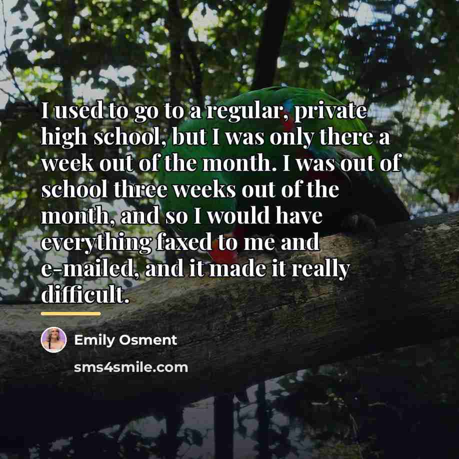 “I used to go to a regular, private high school,…” quote by Emily Osment