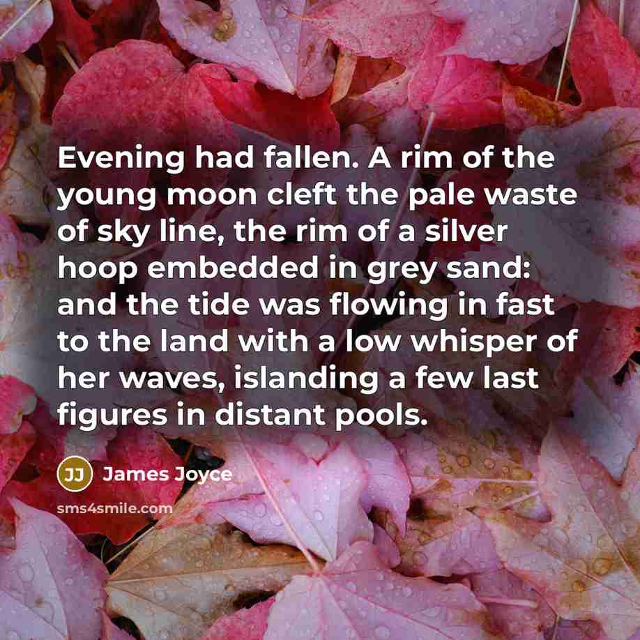 “Evening had fallen. A rim of the young moon cleft…” quote by James Joyce