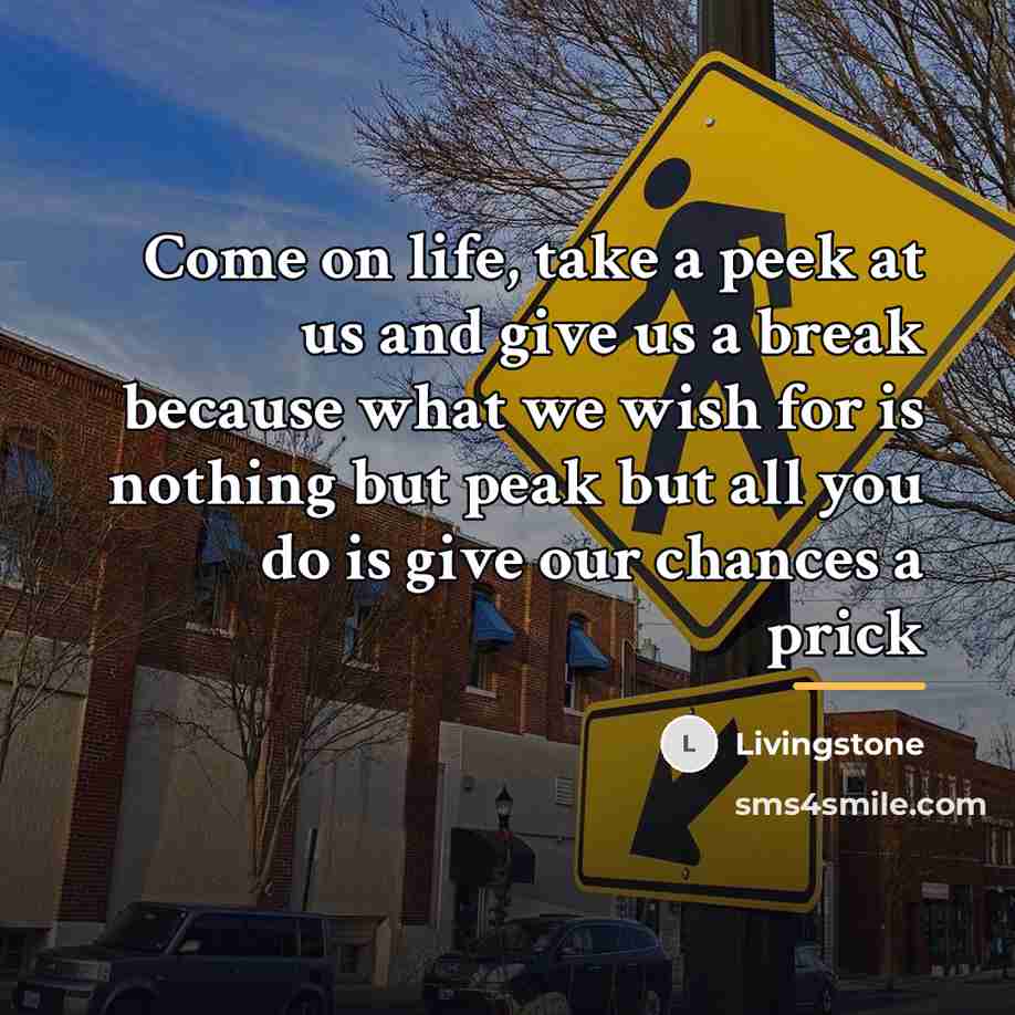 “Come on life, take a peek at us and give…” quote by Livingstone