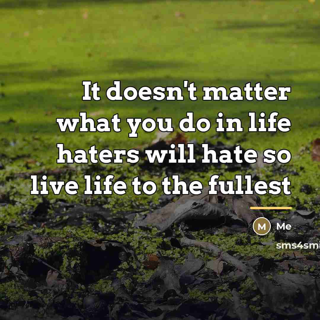 “It doesn't matter what you do in life haters will…” quote by Me